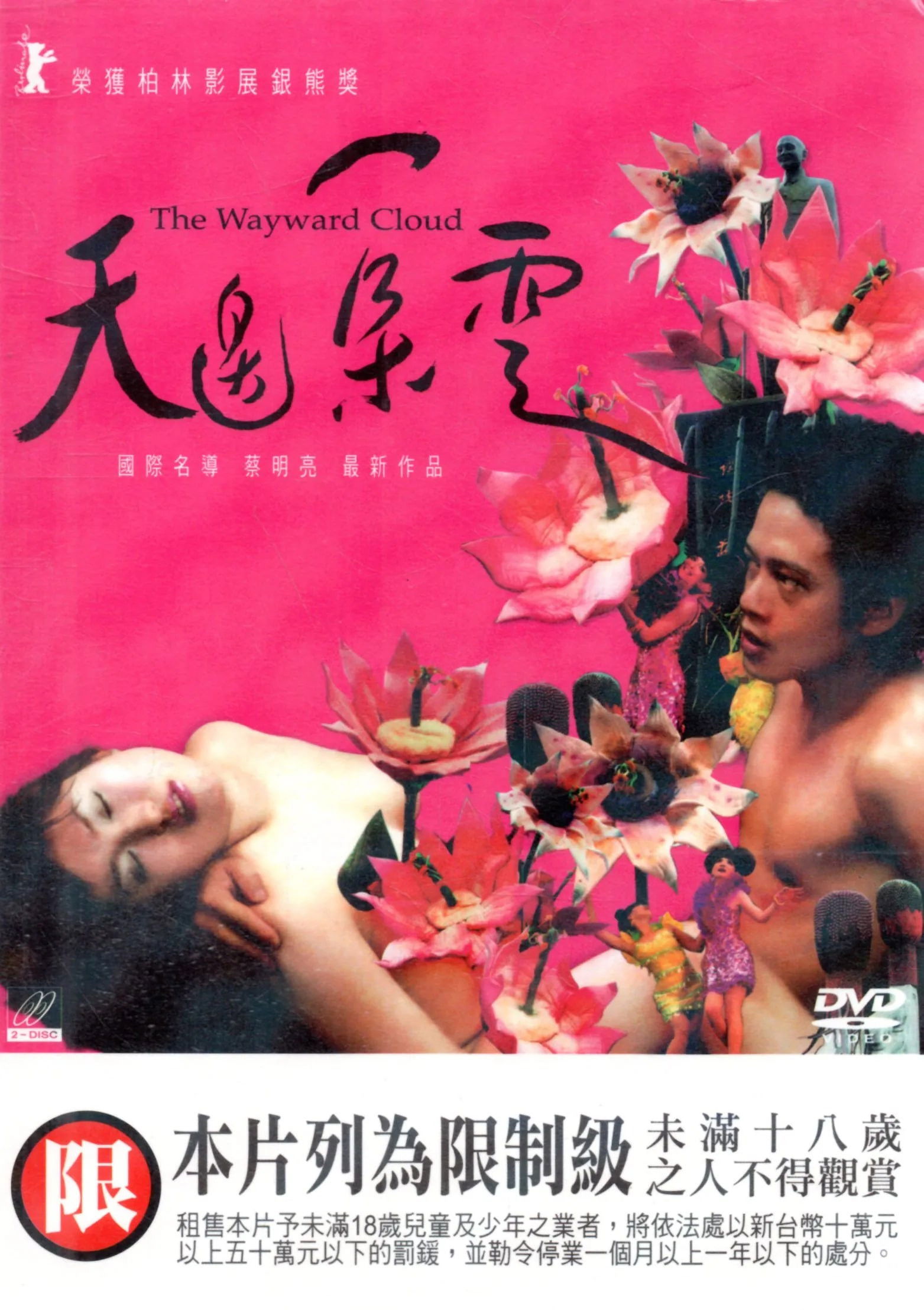 天边一朵云电影海报